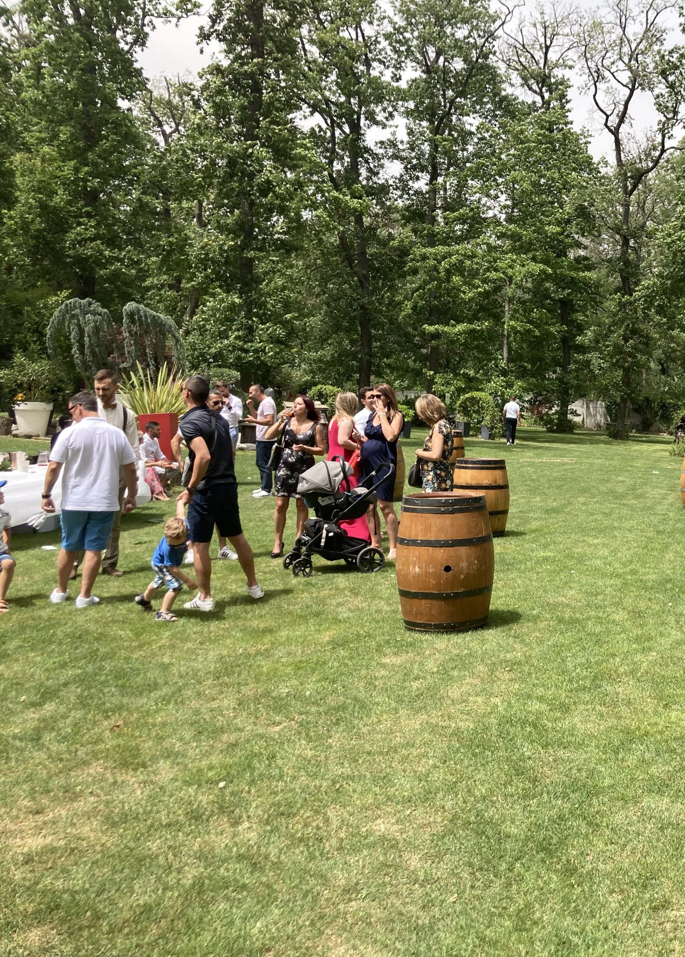 animation de mariage en saone et loire, loire, allier